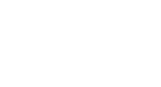 NESN Plus logo